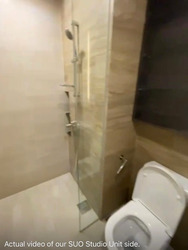 Sims Urban Oasis (D14), Condominium #497556571